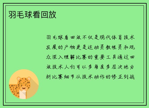 羽毛球看回放